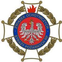 Przekazanie samochodu pożarniczego dla OSP Trzciel