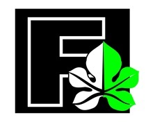 Program Priorytetowy CZYSTE POWIETRZE